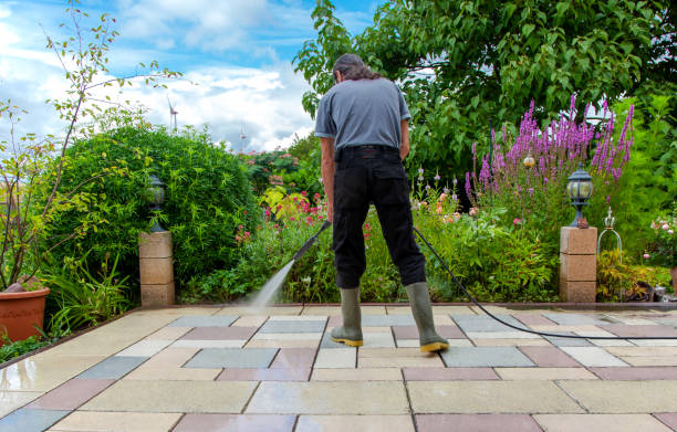 Best Fence Cleaning  in Bloomfield, MO